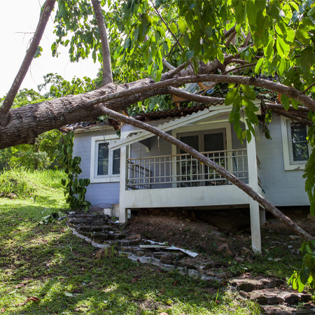 Tree House Damage from Storm